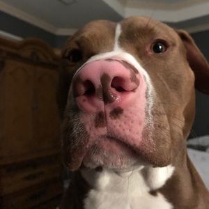 Meet your Posher, Jocelyn